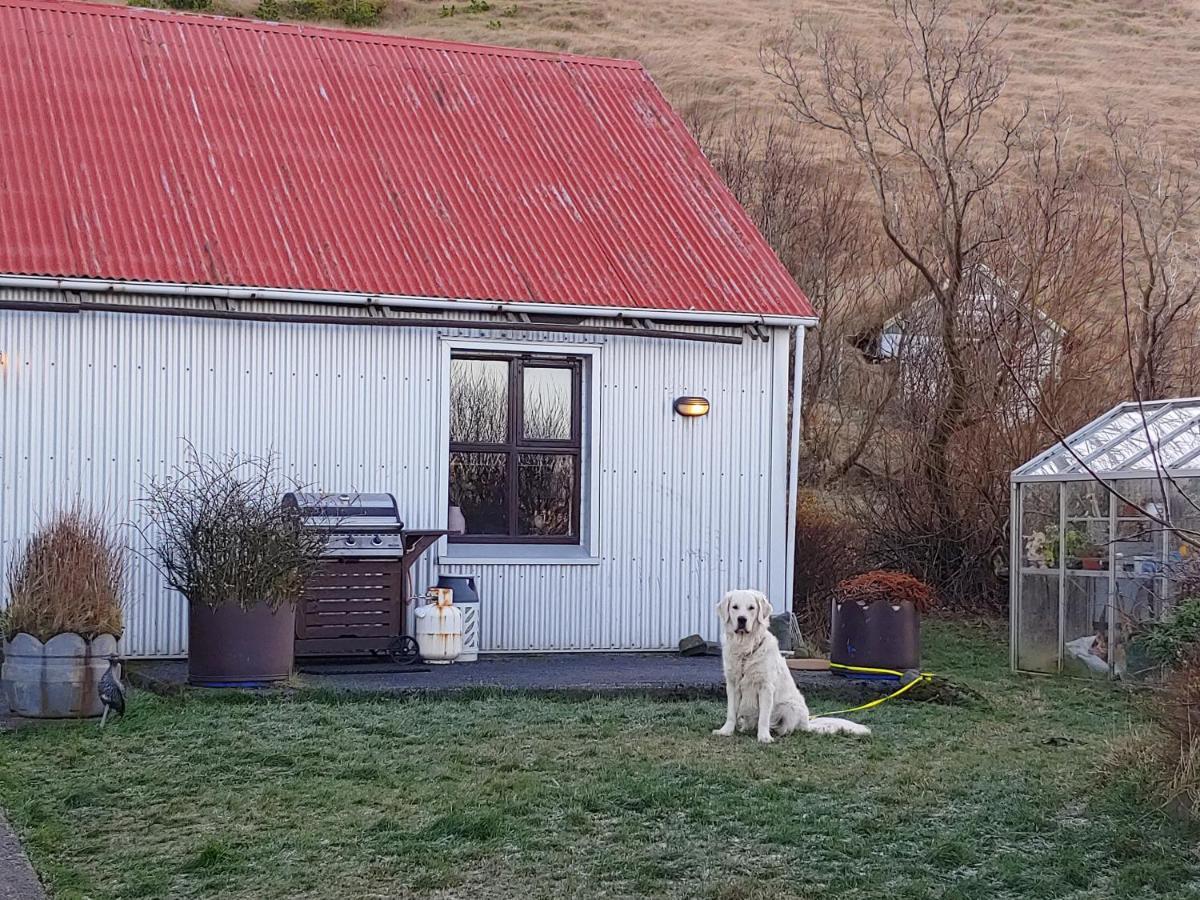 Prestshus 2 Guesthouse Vik i Myrdal Exterior photo